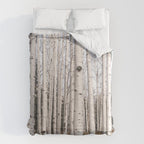 Tall Birch Forest Comforter Gallery Image 6