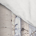 Tall Birch Forest Comforter Gallery Image 4