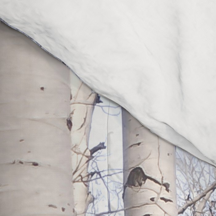 Tall Birch Forest Comforter Gallery Image 4