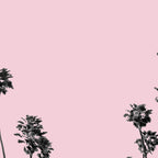 Palm trees 13 Coffee Mug Gallery Image 2