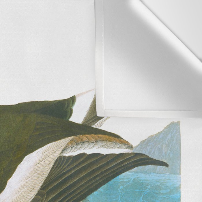 Pied oyster-catcher Bird Wall Tapestry Gallery Image 3
