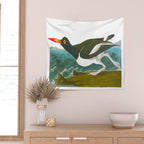 Pied oyster-catcher Bird Wall Tapestry Gallery Image 2