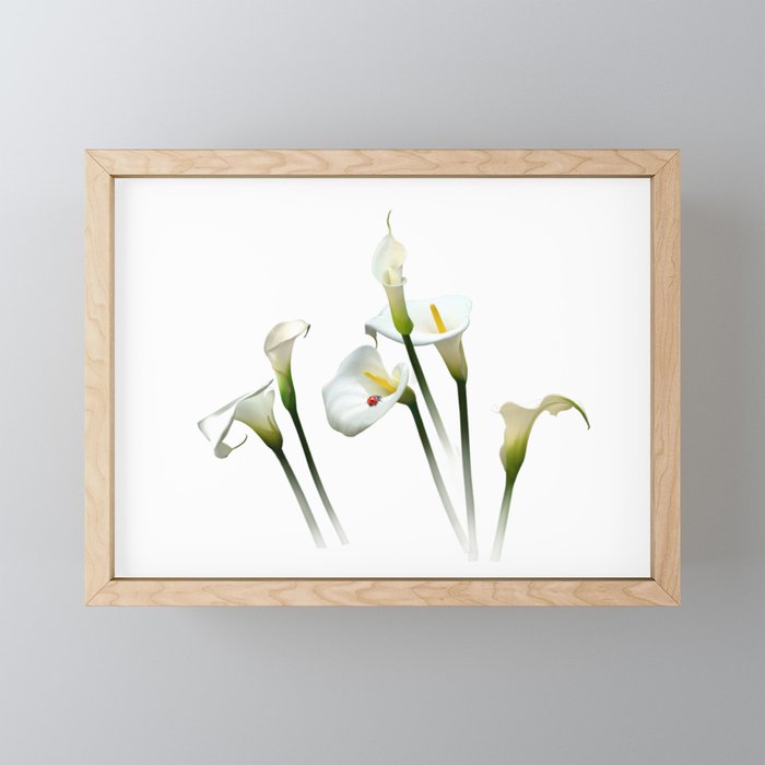 Calla Lilies Mini Art Print Gallery Image 1