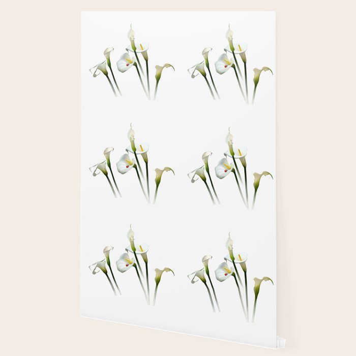 Calla Lilies Wallpaper Gallery Image 2