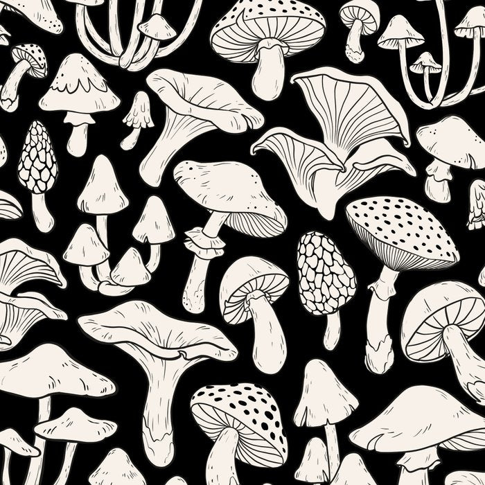 Mushrooms in Black And White Coffee Mug Gallery Image 2