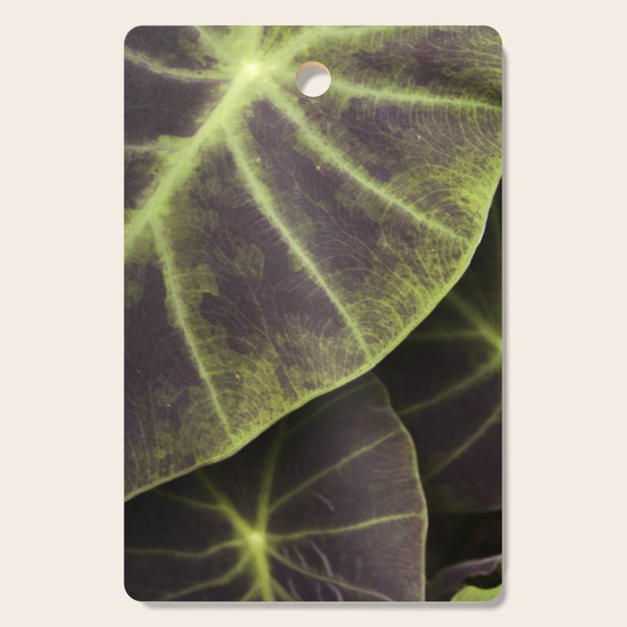 Leaf Line Art Elephant Ear Study Cutting Board Gallery Image 1
