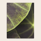 Leaf Line Art Elephant Ear Study Notebook Gallery Image 4