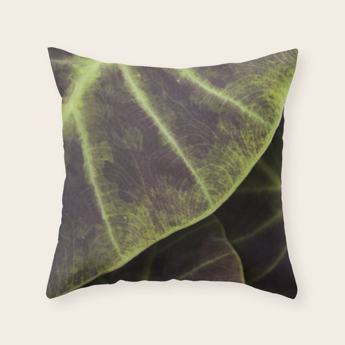Leaf Line Art Elephant Ear Study Throw Pillow Gallery Image 6
