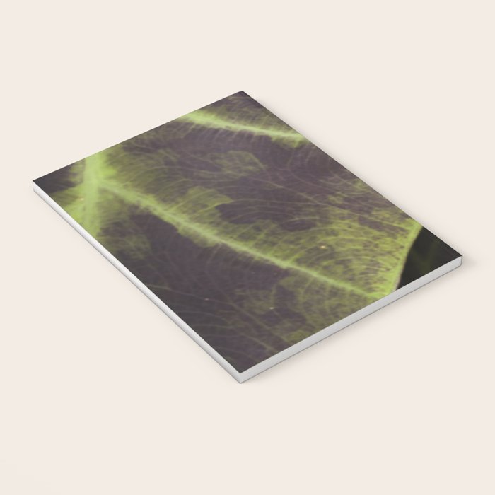 Leaf Line Art Elephant Ear Study Notebook Gallery Image 3