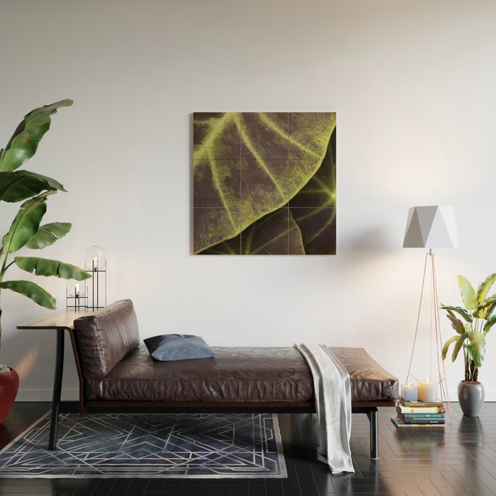 Leaf Line Art Elephant Ear Study Wood Wall Art Gallery Image 2