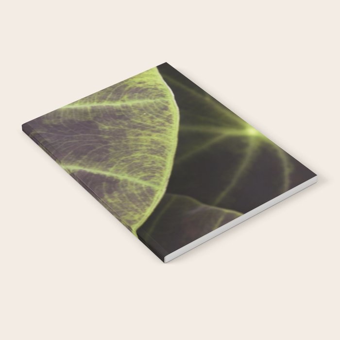 Leaf Line Art Elephant Ear Study Notebook Gallery Image 2