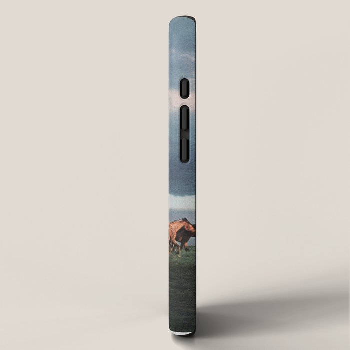Into the Sunset iPhone Case Gallery Image 2
