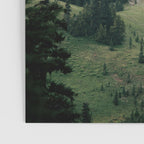 The Pacific Northwest Poster Gallery Image 3