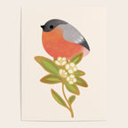 Eurasian bullfinch Poster Gallery Image 4