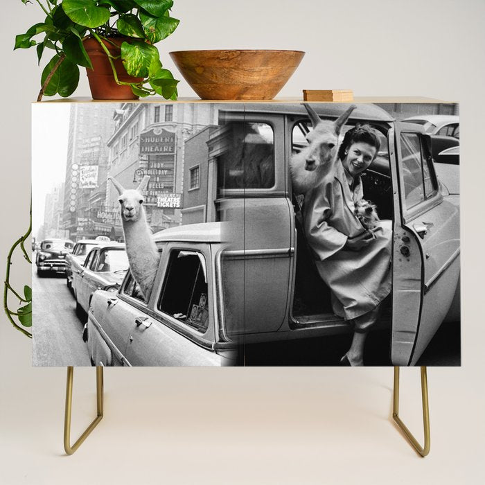  llama in times square print - a llama in times square-Llama Riding in Taxi, Black and White Vintage Credenza Gallery Image 1