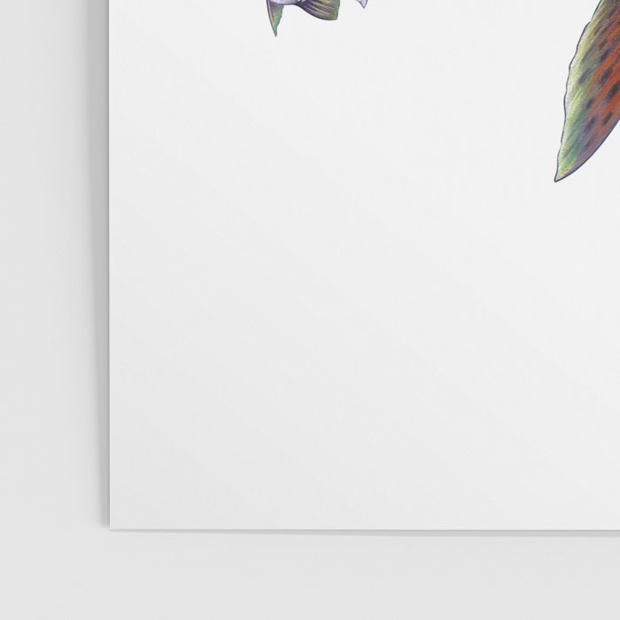 Musky Fishing Poster Gallery Image 3