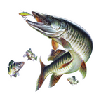 Musky Fishing Coffee Mug Gallery Image 2