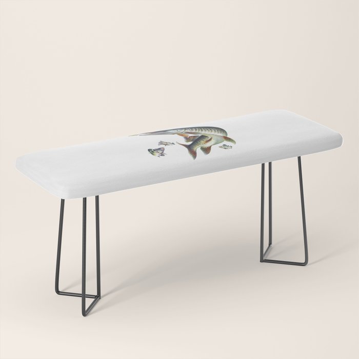 Musky Fishing Bench Gallery Image 1