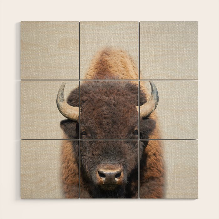 Buffalo - Colorful Wood Wall Art Gallery Image 1