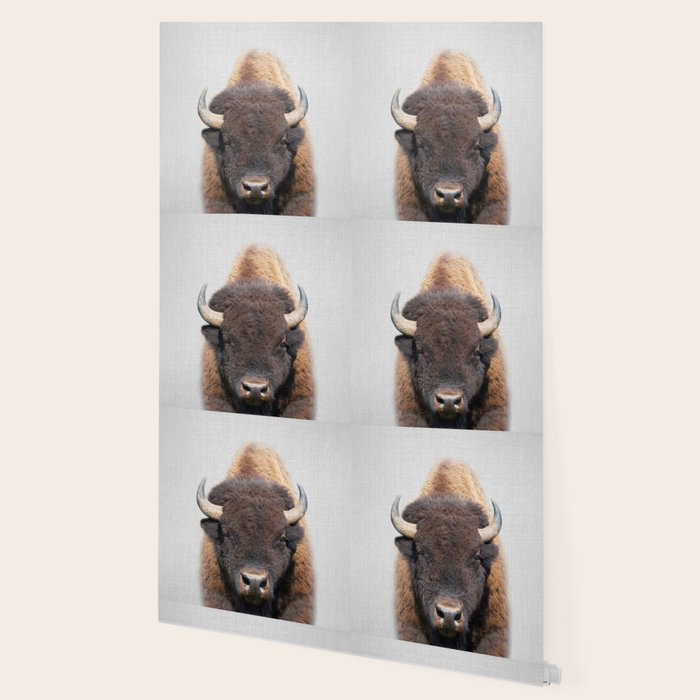 Buffalo - Colorful Wallpaper Gallery Image 2