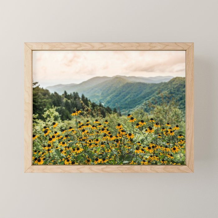 Smoky Mountains Wildflower Nature Photography Mini Art Print Gallery Image 1