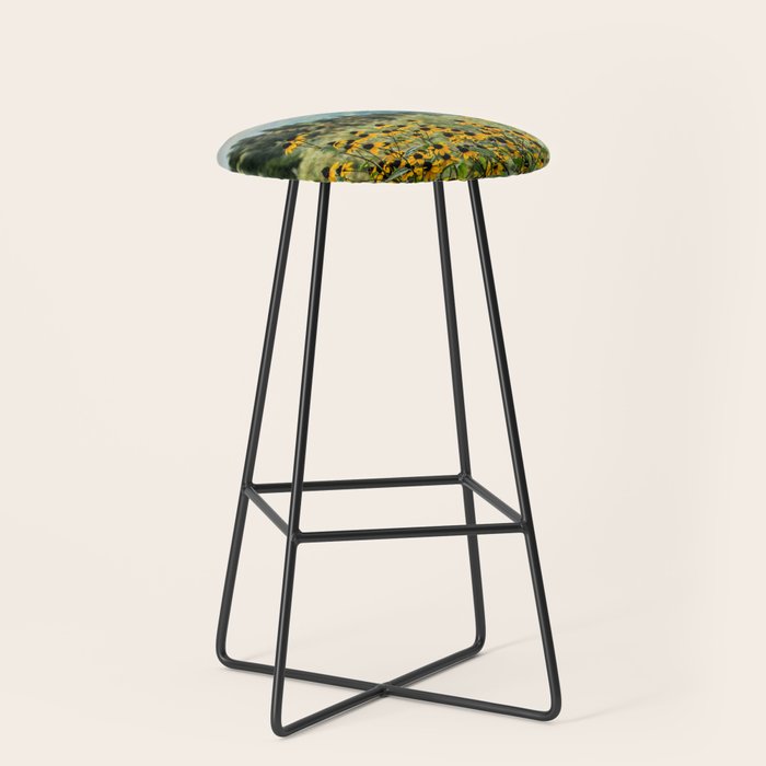 Smoky Mountains Wildflower Nature Photography Stool Gallery Image 1