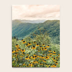 Smoky Mountains Wildflower Nature Photography Notebook Gallery Image 4