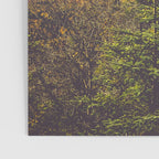 Autumn in the Adirondack Mountains landscape travel photography Poster Gallery Image 3