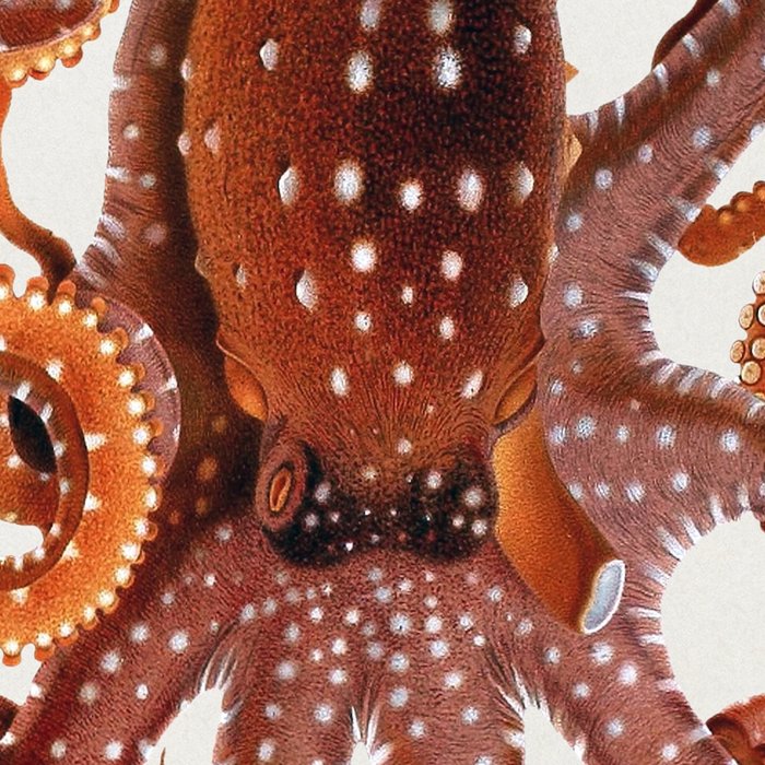 White Spotted Octopus Coffee Mug Gallery Image 2