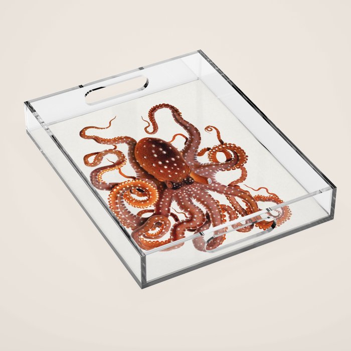 White Spotted Octopus Acrylic Tray Gallery Image 1