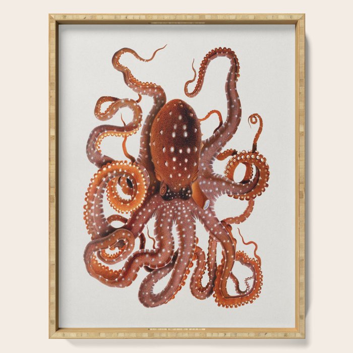 White Spotted Octopus Serving Tray Gallery Image 1