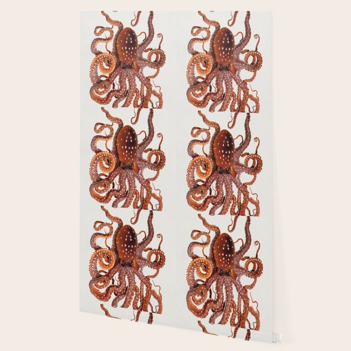 White Spotted Octopus Wallpaper Gallery Image 2