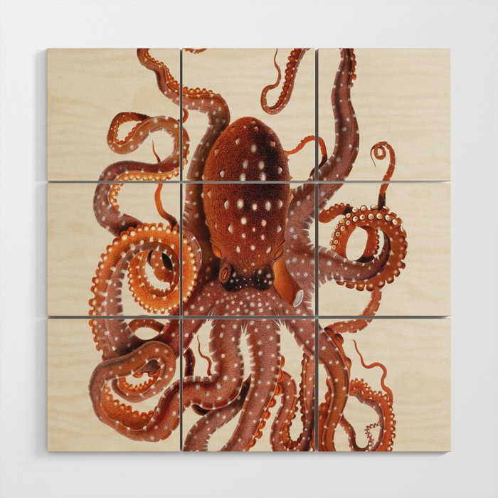 White Spotted Octopus Wood Wall Art Gallery Image 1