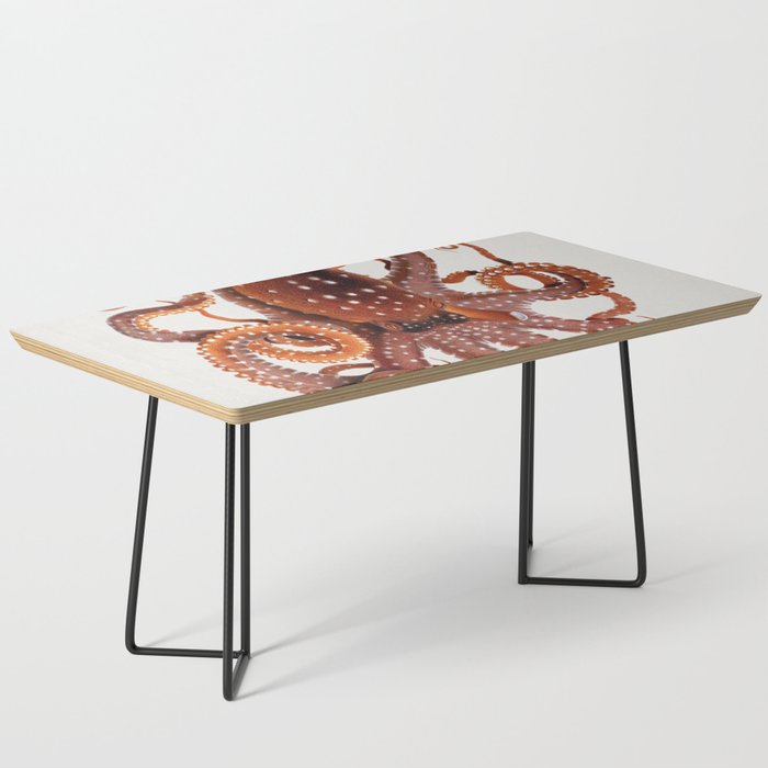 White Spotted Octopus Coffee Table Gallery Image 1