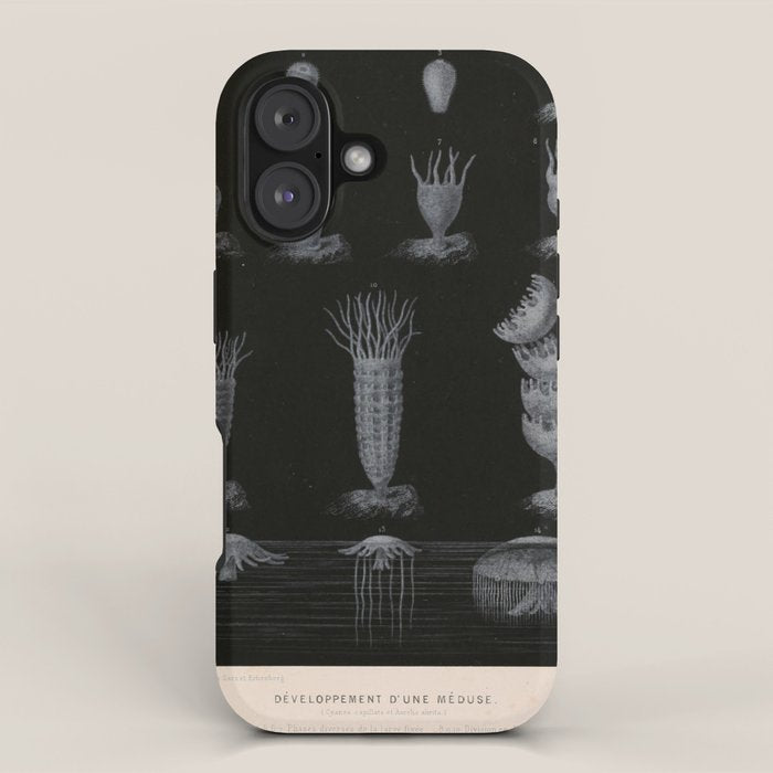 Jellyfish development from "Le Monde de la Mer," 1866 (benefitting The Nature Conservancy) iPhone Case Gallery Image 1