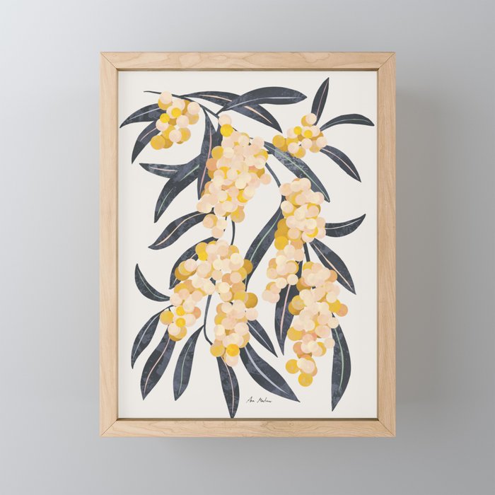 Mediterranean Acacia Mini Art Print Gallery Image 1