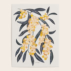 Mediterranean Acacia Poster Gallery Image 4