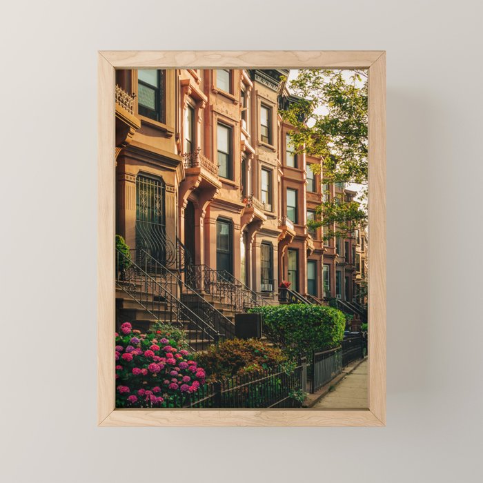 Bed-Stuy Brownstones 01 Mini Art Print