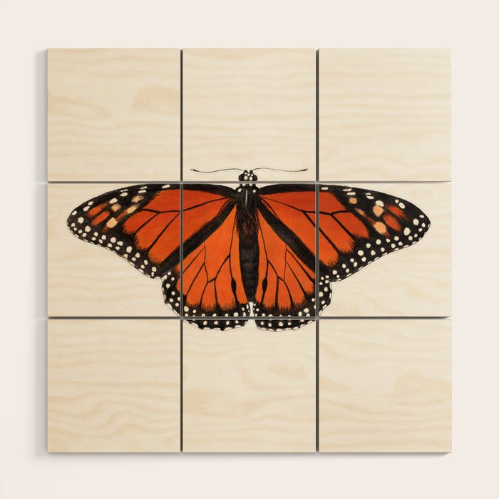 Monarch (Danaus plexippus) Wood Wall Art Gallery Image 1