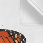 Monarch (Danaus plexippus) Wall Tapestry Gallery Image 3