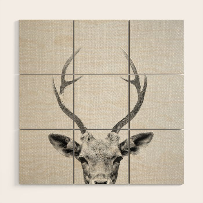 Deer - Black & White Wood Wall Art Gallery Image 1