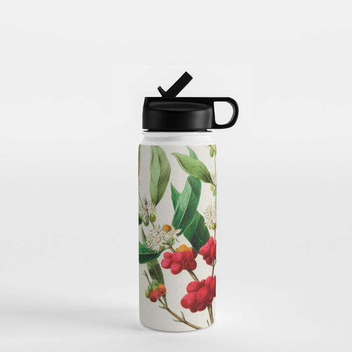 Coffee plant by Étienne Denisse from "Flore d'Amérique" (1843)  Water Bottle Gallery Image 1