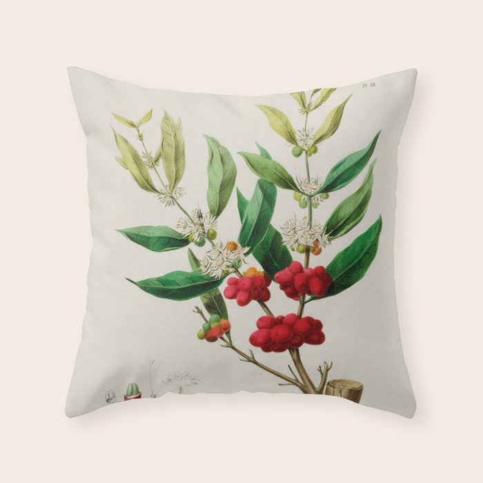 Coffee plant by Étienne Denisse from "Flore d'Amérique" (1843)  Throw Pillow Gallery Image 1