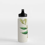 Coffee plant by Étienne Denisse from "Flore d'Amérique" (1843)  Water Bottle Gallery Image 3
