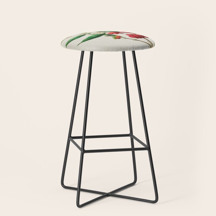 Coffee plant by Étienne Denisse from "Flore d'Amérique" (1843)  Stool Gallery Image 1