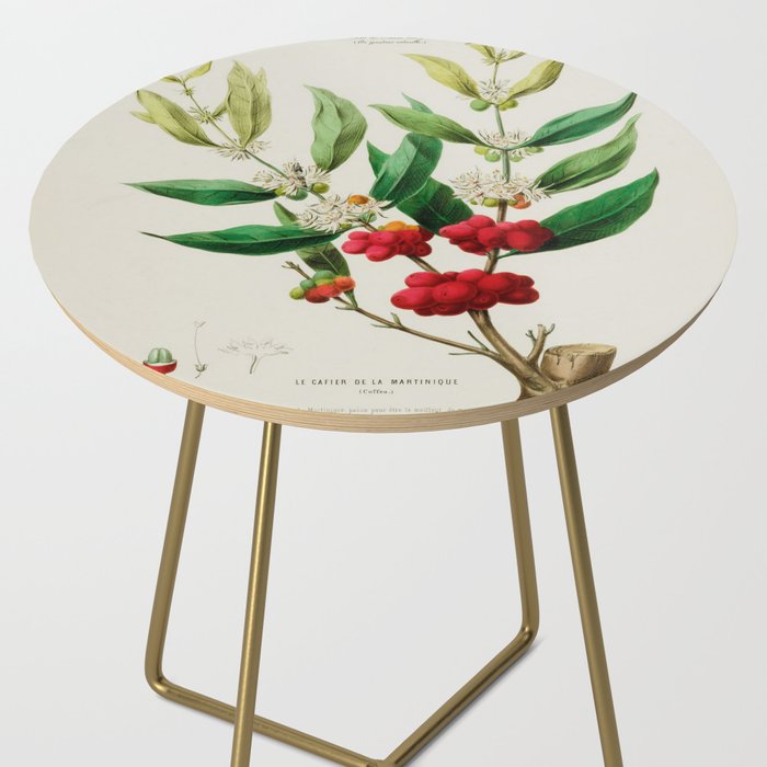 Coffee plant by Étienne Denisse from "Flore d'Amérique" (1843)  Side Table Gallery Image 2