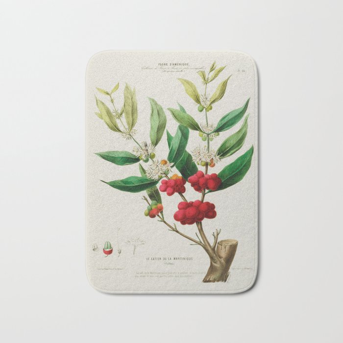 Coffee plant by Étienne Denisse from "Flore d'Amérique" (1843)  Bath Mat Gallery Image 1