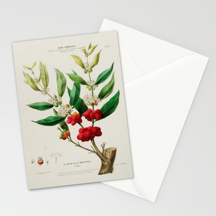 Coffee plant by Étienne Denisse from "Flore d'Amérique" (1843)  Stationery Card Gallery Image 2