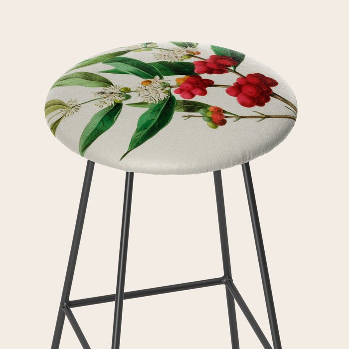 Coffee plant by Étienne Denisse from "Flore d'Amérique" (1843)  Stool Gallery Image 2