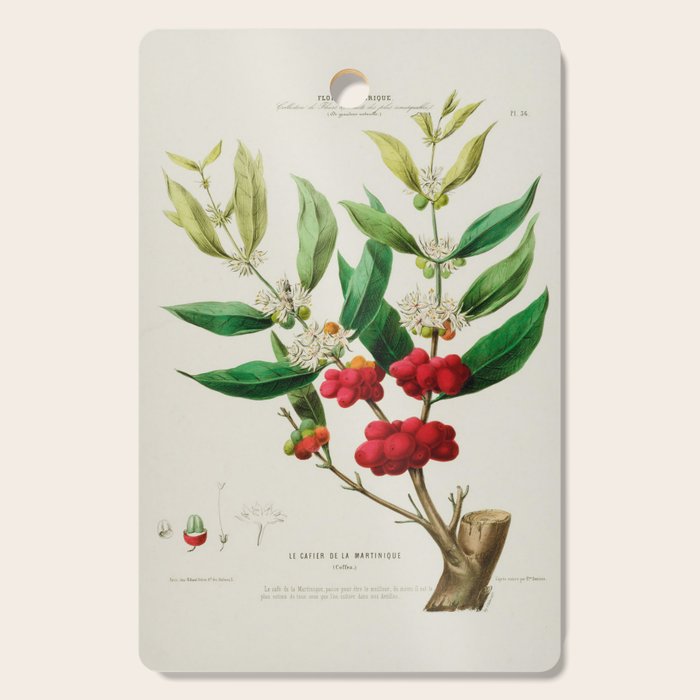Coffee plant by Étienne Denisse from "Flore d'Amérique" (1843)  Cutting Board Gallery Image 1